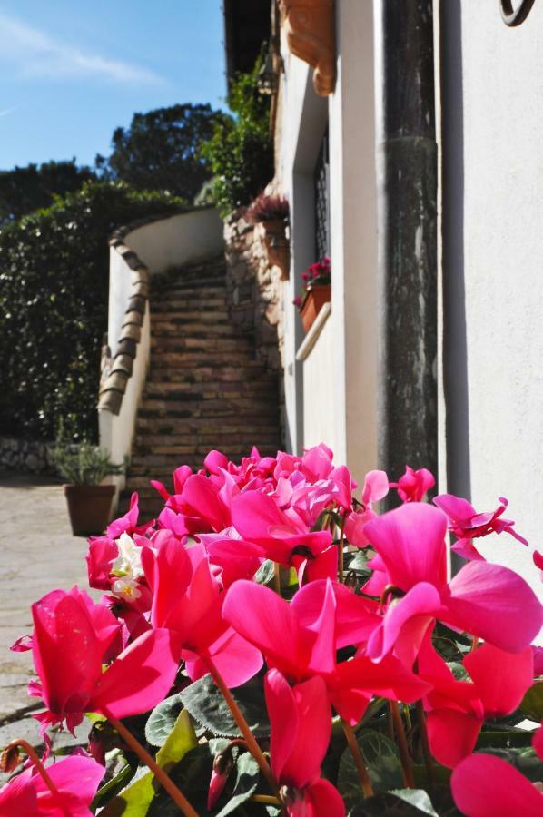 Pepe Guest House Roma Exterior foto